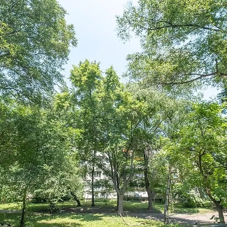 Location, Brand New 3 Bdrm & Free Parking * Sofya